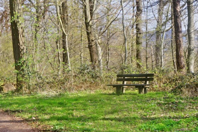 p1060589hdr sanftk.jpg